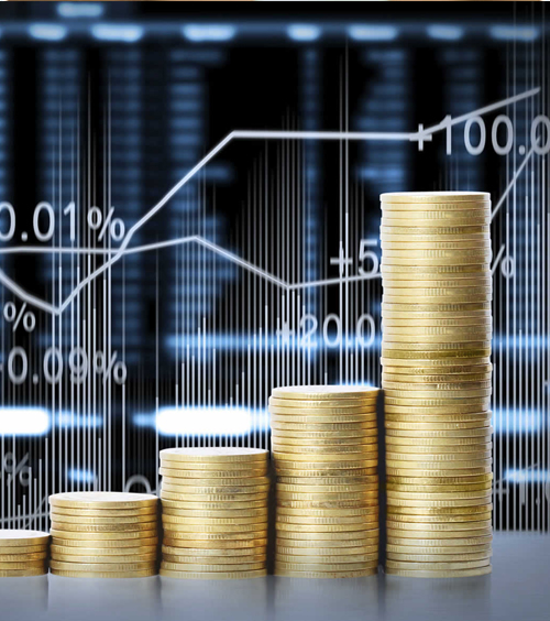 About Vidhyavati Out Source Pvt. Ltd.